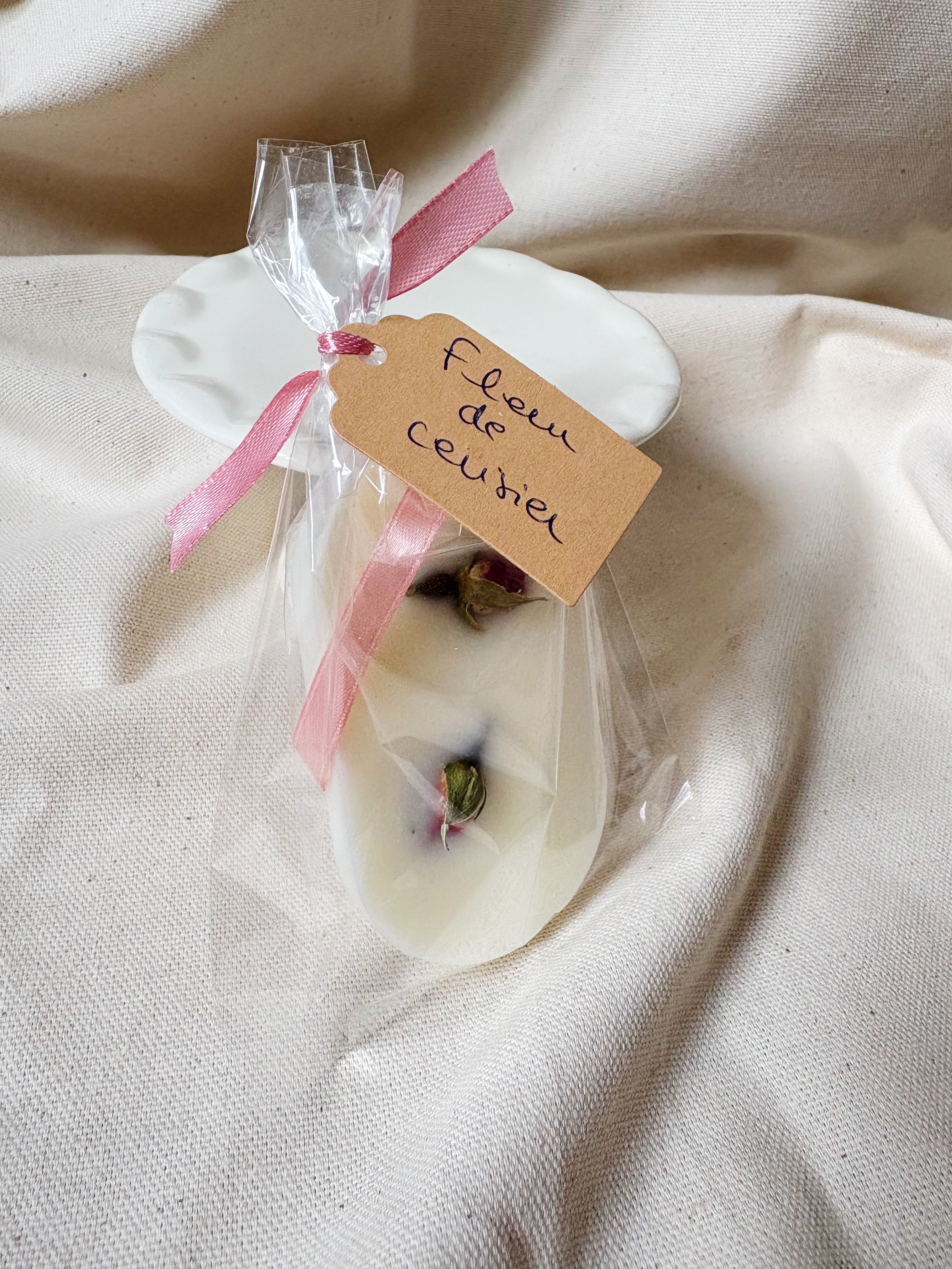 Fleur de cerisier