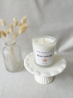 Petit pot givré - Rose sauvage